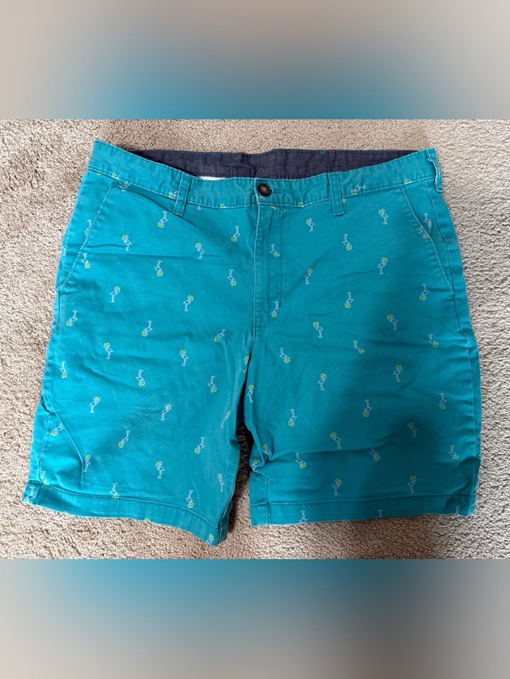 George Teal Casual Shorts with Flamingo Print